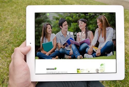 �������γ����